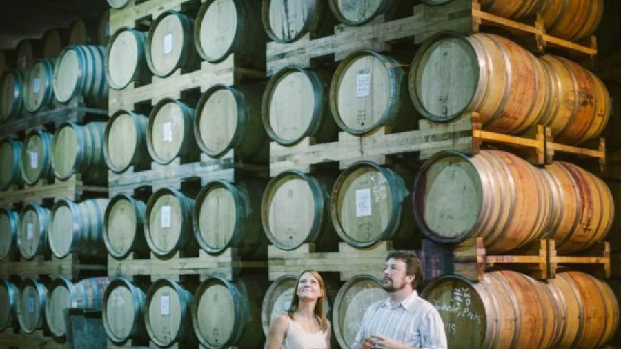Visitors exploring the impressive barrel hall at Pegasus Bay Winery in Waipara Valley.
