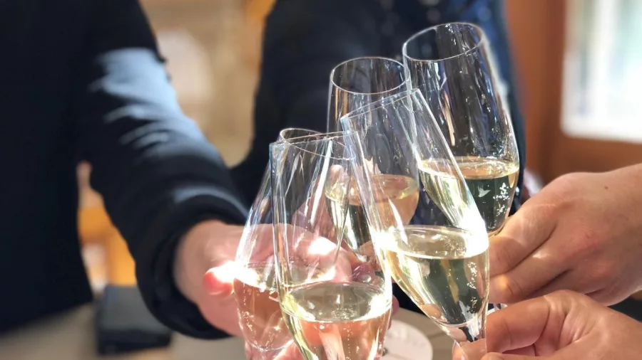 Group clinking glasses of sparkling wine during a tasting in Waipara.