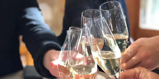 Group clinking glasses of sparkling wine during a tasting in Waipara.