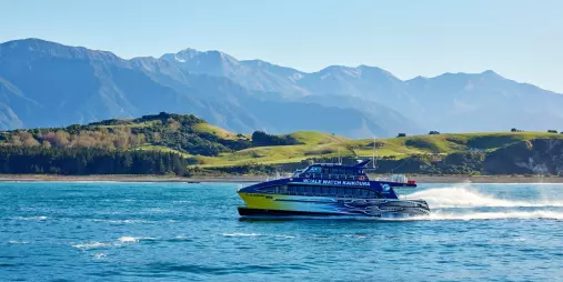Whale Watch Kaikōura boat cruising with rolling green hills and the Seaward Ranges behind