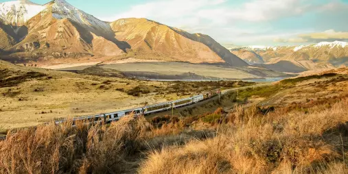 TranzAlpine train travelling through Canterbury’s golden foothills with snow-dusted Southern Alps in the background.