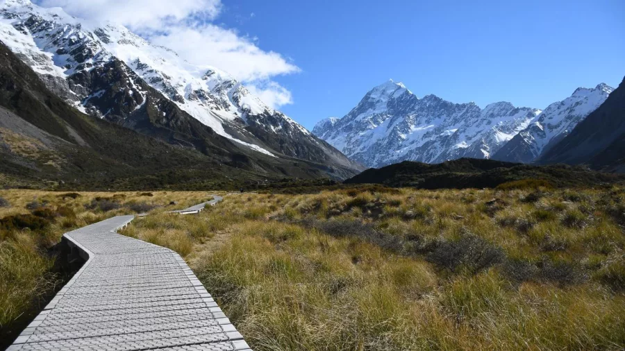 Boardwalk path leading through alpine grasslands toward Aoraki Mount Cook
