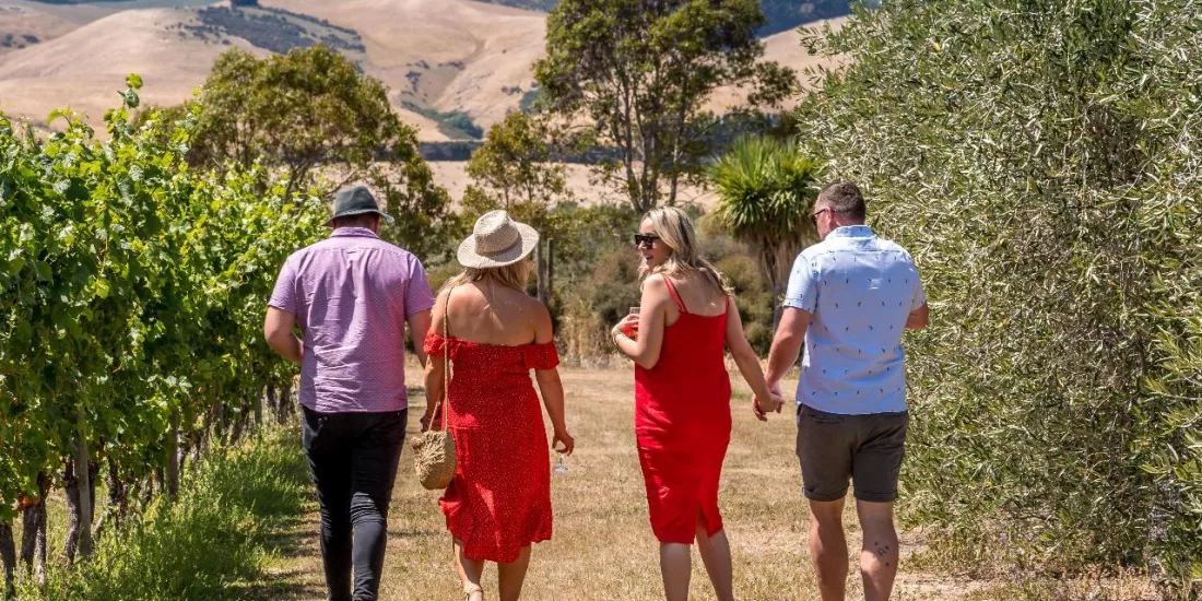 Couples walking through vineyard rows in Waipara Valley.