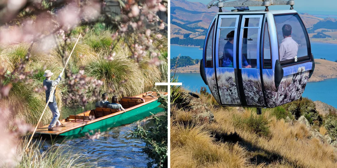 Punting on the Avon River framed by blossoms, and Christchurch Gondola above the harbour.