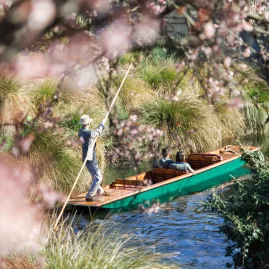 Punting boat gliding through blossom-framed scenery on the Avon River