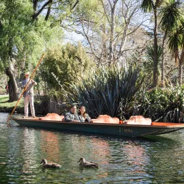 Couple enjoying a punt ride on the Avon River, with ducks swimming nearby