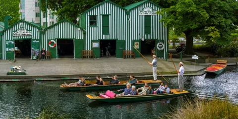 Groups punting from the historic Antigua Boat Sheds in Christchurch