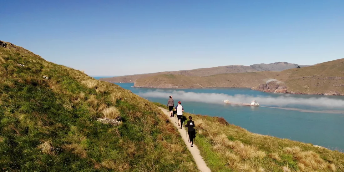 Guided group walking along Breeze Col ridge with views over Lyttelton Harbour