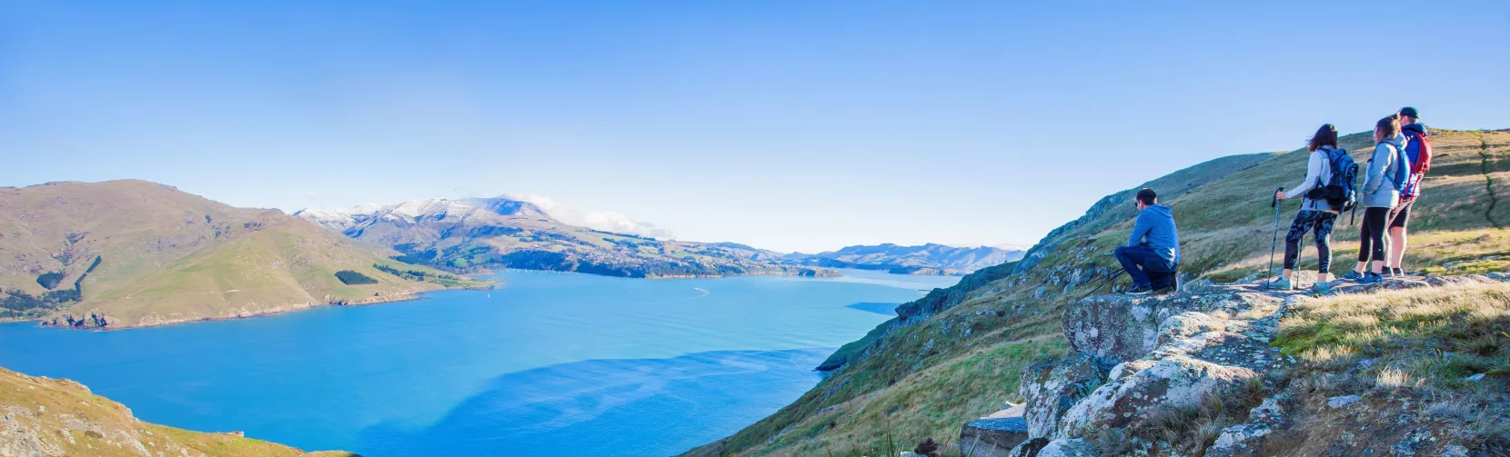 Hikers pausing at a lookout over Lyttelton Harbour on the Crater Rim Walk