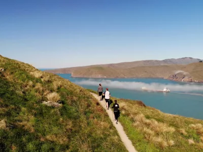 Guided group walking along Breeze Col ridge with views over Lyttelton Harbour