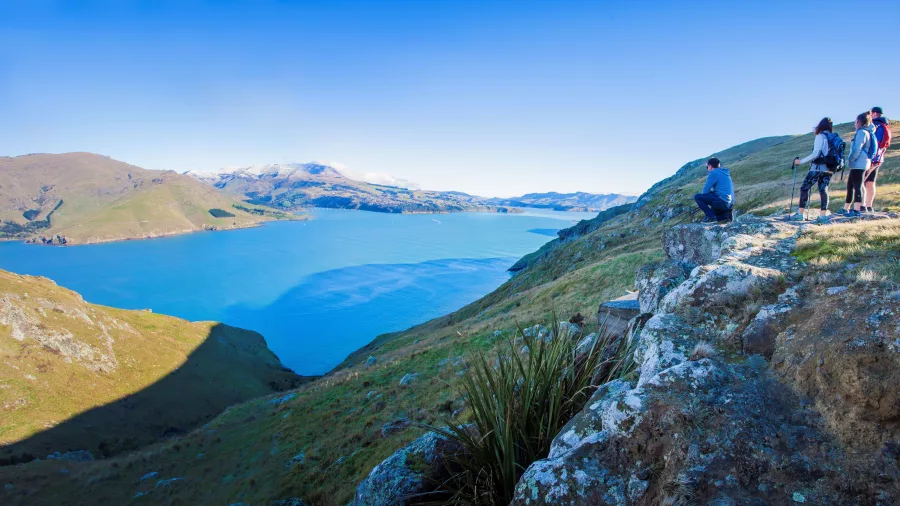 Hikers pausing at a lookout over Lyttelton Harbour on the Crater Rim Walk