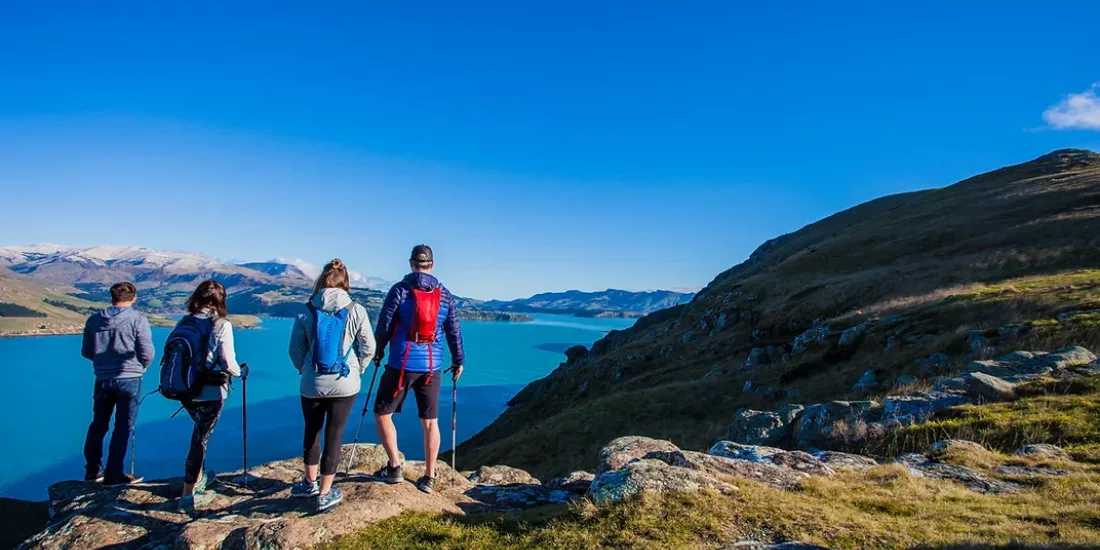 Four hikers pausing to enjoy Lyttelton Harbour views on a sunny day during the Crater Rim Walk