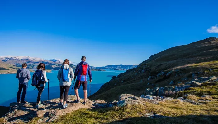 Four hikers pausing to enjoy Lyttelton Harbour views on a sunny day during the Crater Rim Walk