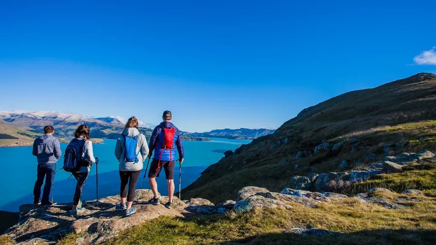 Four hikers pausing to enjoy Lyttelton Harbour views on a sunny day during the Crater Rim Walk