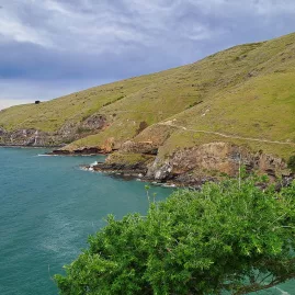 A narrow walking trail hugs the steep grassy hillside above the Pacific at Godley Head