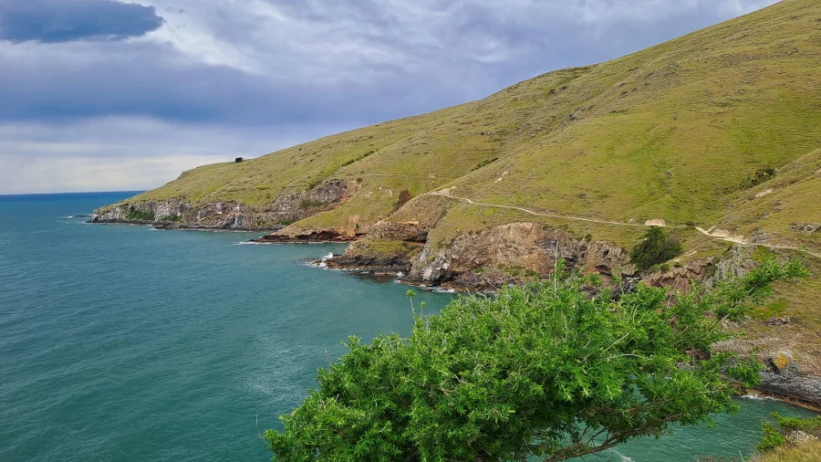 A narrow walking trail hugs the steep grassy hillside above the Pacific at Godley Head