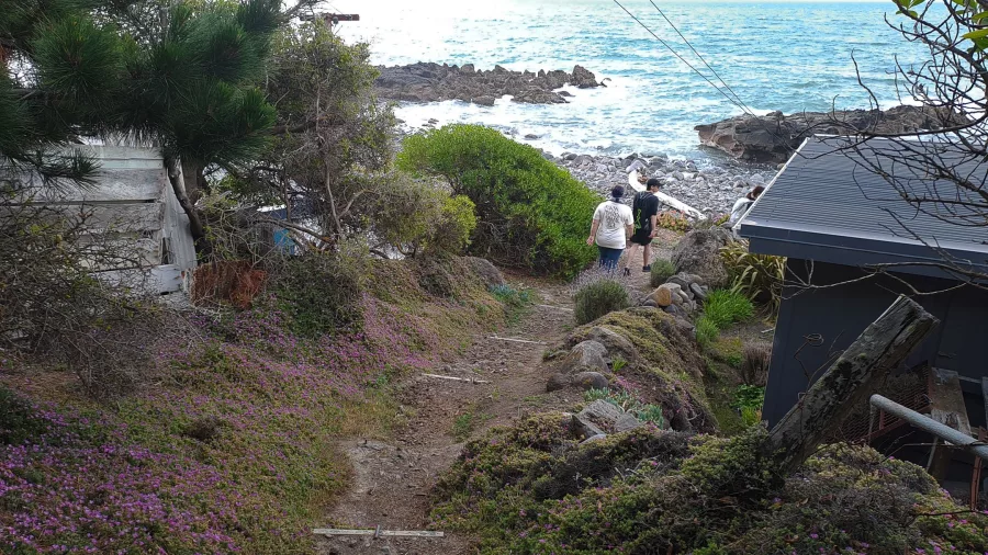 Pathway through coastal vegetation leading down to baches at Boulder Bay with ocean visible