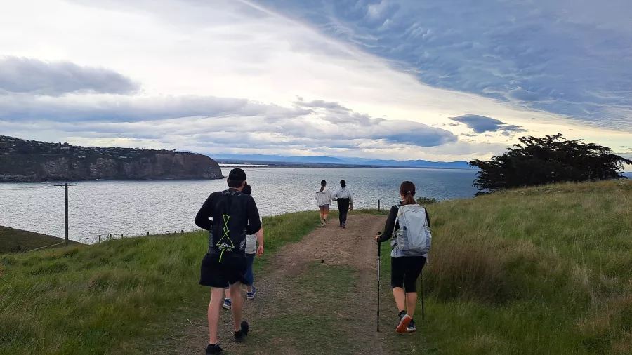 Guided group walking a grassy track toward the ocean cliffs above Taylors Mistake