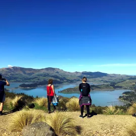 Group of walkers looking out over Lyttelton Harbour from Victoria Park on a sunny day