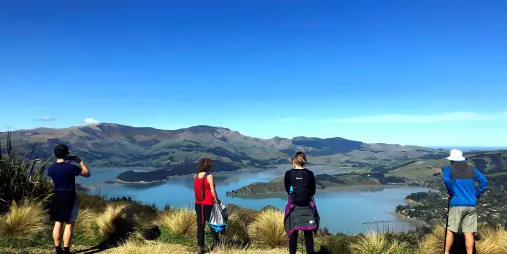 Group of walkers looking out over Lyttelton Harbour from Victoria Park on a sunny day