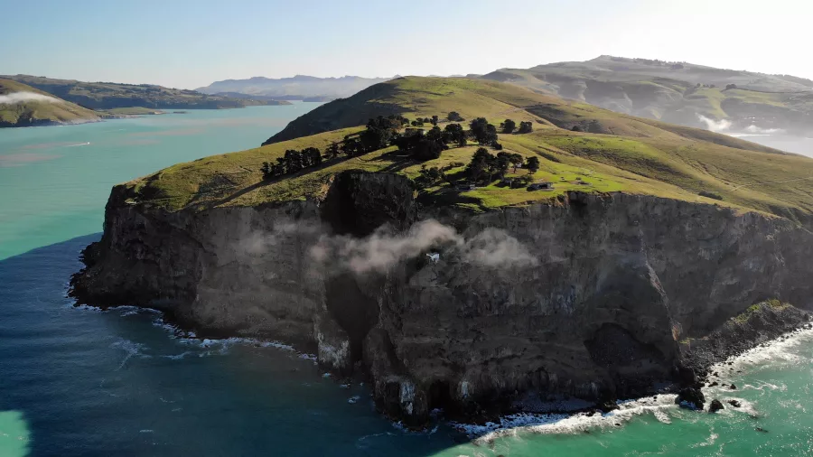 Aerial shot of steep cliffs and rolling green hills meeting the ocean on Banks Peninsula near Christchurch