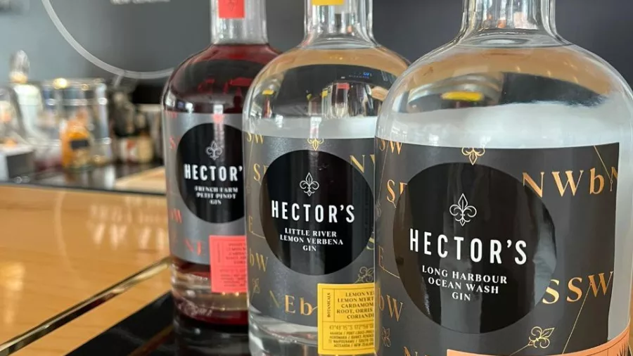 Bottles of Hector’s Gin from Akaroa Craft Distillery lined up on bar counter