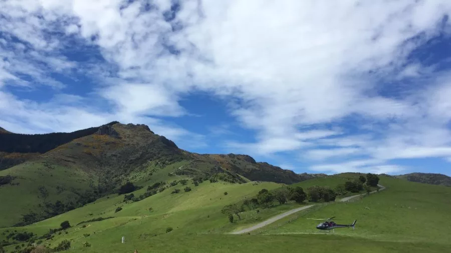 Helicopter landing on a scenic hilltop near Akaroa on Banks Peninsula