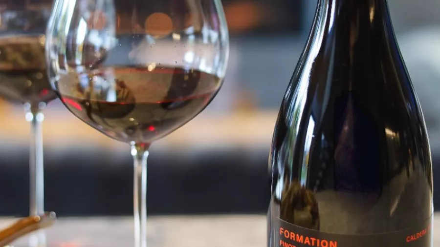 Red wine and cheese platter at Caldera Vineyard near Akaroa