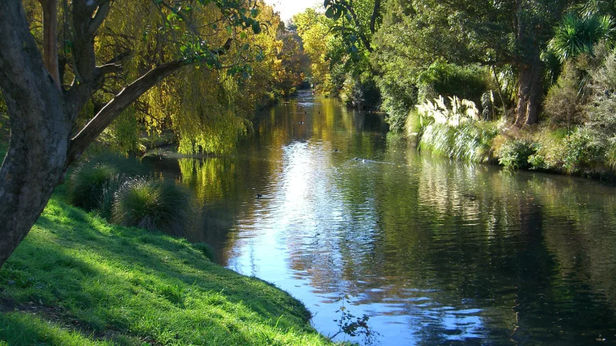 Autumn trees reflected in the Avon River as it flows through Mona Vale in Christchurch, New Zealand.