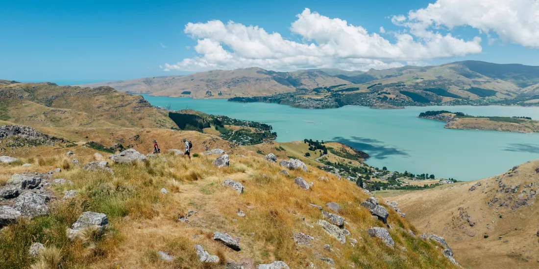 Hikers enjoying panoramic views of Lyttelton Harbour from Port Hills