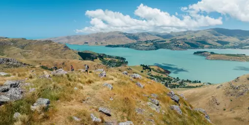Hikers enjoying panoramic views of Lyttelton Harbour from Port Hills