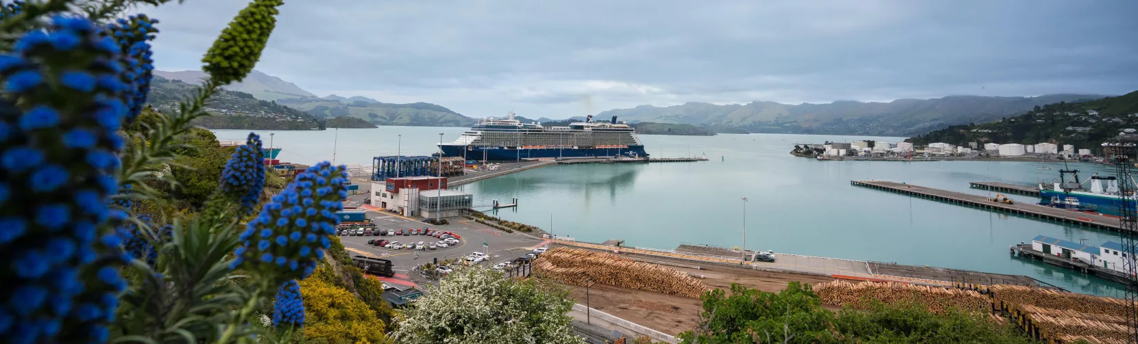 Cruise ship docked at Lyttelton Harbour in Canterbury