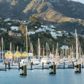 Sailboats docked at Lyttelton Harbour marina with hillside homes and mountains behind