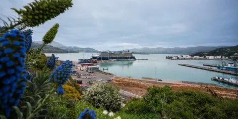 Cruise ship docked at Lyttelton Harbour in Canterbury