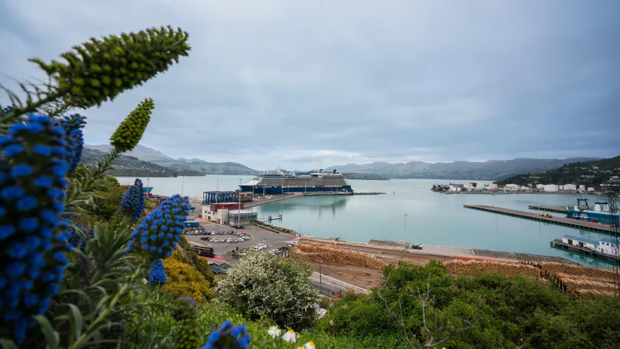 Cruise ship docked at Lyttelton Harbour in Canterbury