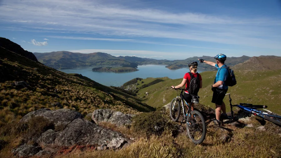 Mountain bikers overlooking Lyttelton Harbour from Port Hills