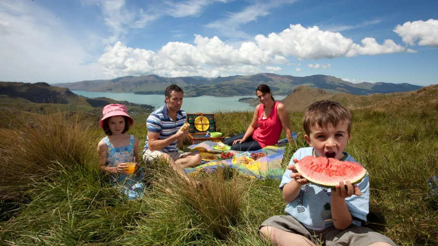 Family picnic on Port Hills with views of Lyttelton Harbour