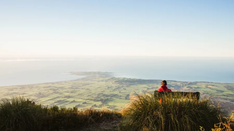Scenic coastal view from Mt Fyffe, Kaikōura