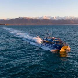 Whale Watch Kaikōura boat cruising at sunrise with mountains in the background