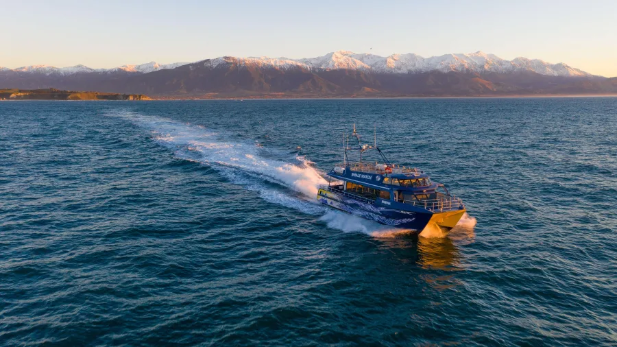 Whale Watch Kaikōura boat cruising at sunrise with mountains in the background