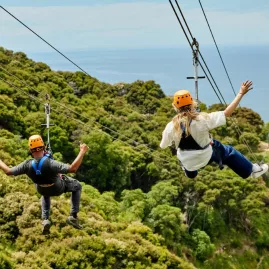 Two zipliners heading downhill towards the ocean, surrounded by dense greenery in Kaikōura.