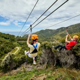 Two zipliners soaring side-by-side above native bush in Kaikōura.