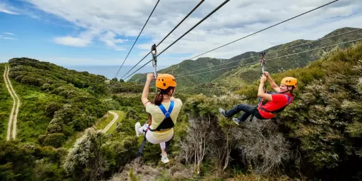 Two zipliners soaring side-by-side above native bush in Kaikōura.