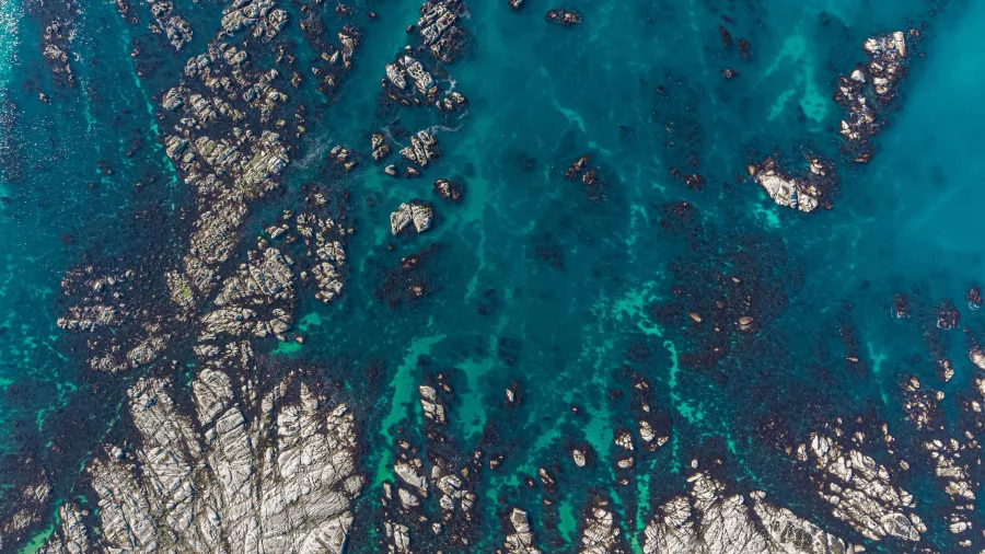 Aerial view of Kaikōura’s rocky coastline and deep blue ocean, perfect for spotting whales from above
