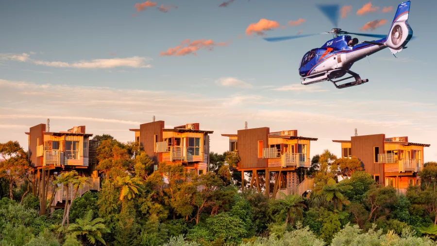 Helicopter flying above Hapuku Lodge tree houses at sunset during Kaikōura gourmet heli tour