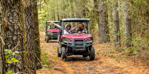 Two off-road buggies driving through a pine forest trail in Hanmer Springs, with passengers waving and enjoying the ride