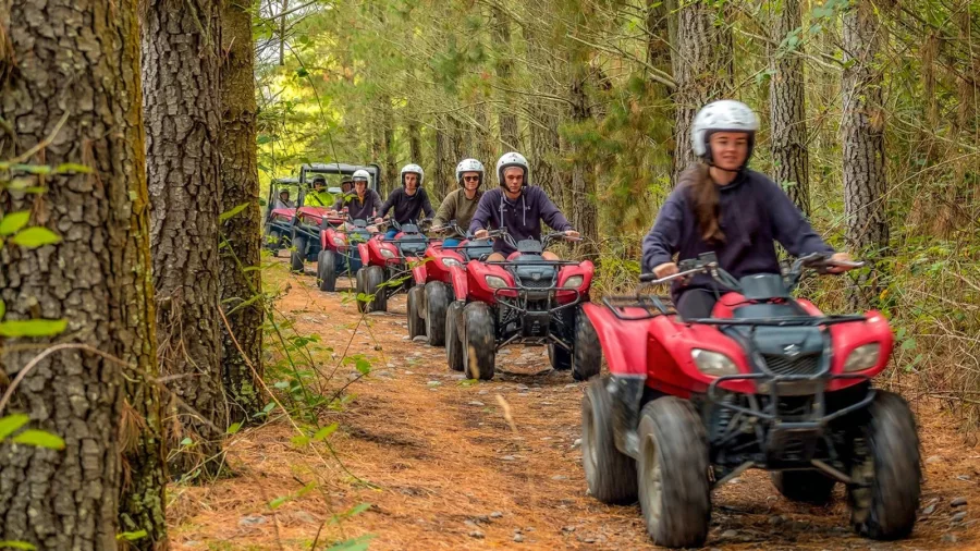 A group of quad bikers riding red ATVs through a pine forest trail in Hanmer Springs