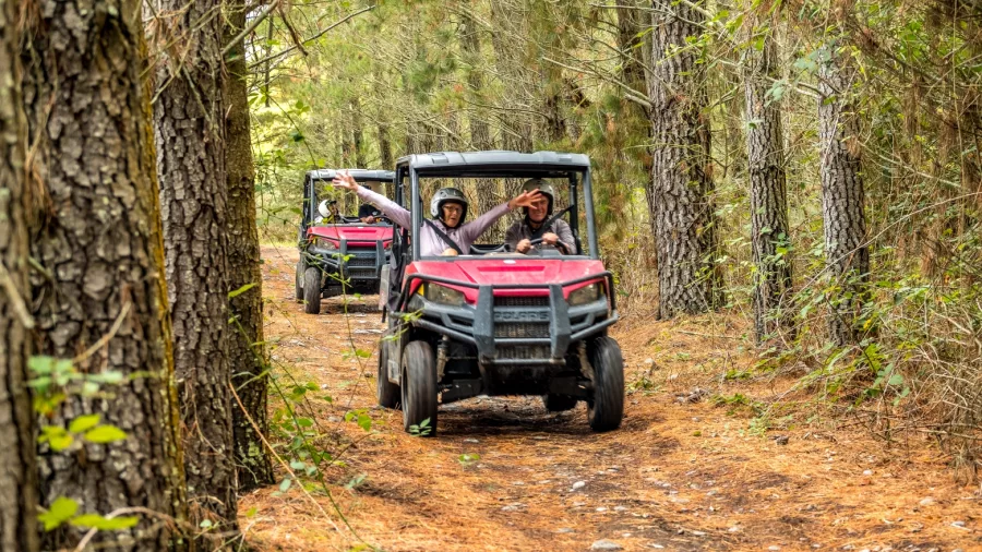 Two off-road buggies driving through a pine forest trail in Hanmer Springs, with passengers waving and enjoying the ride