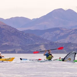 A group of kayakers paddling near a whale’s fluke in Kaikōura.