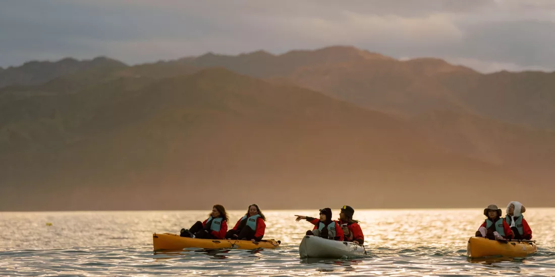 Kayakers pointing at wildlife during golden hour with mountains in the background